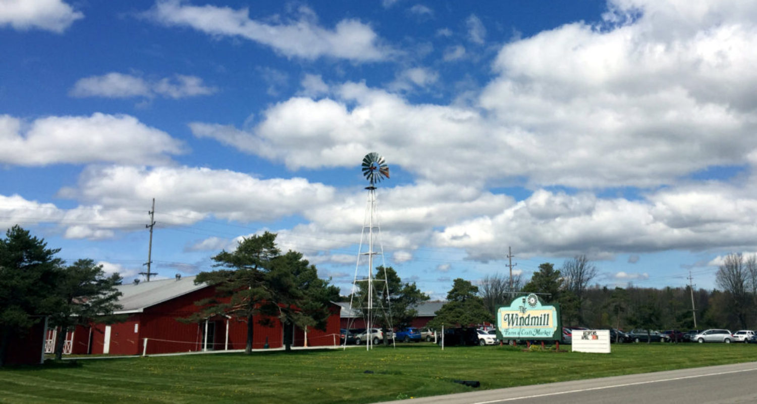 The Windmill First and Friendliest Farm Market in Upstate