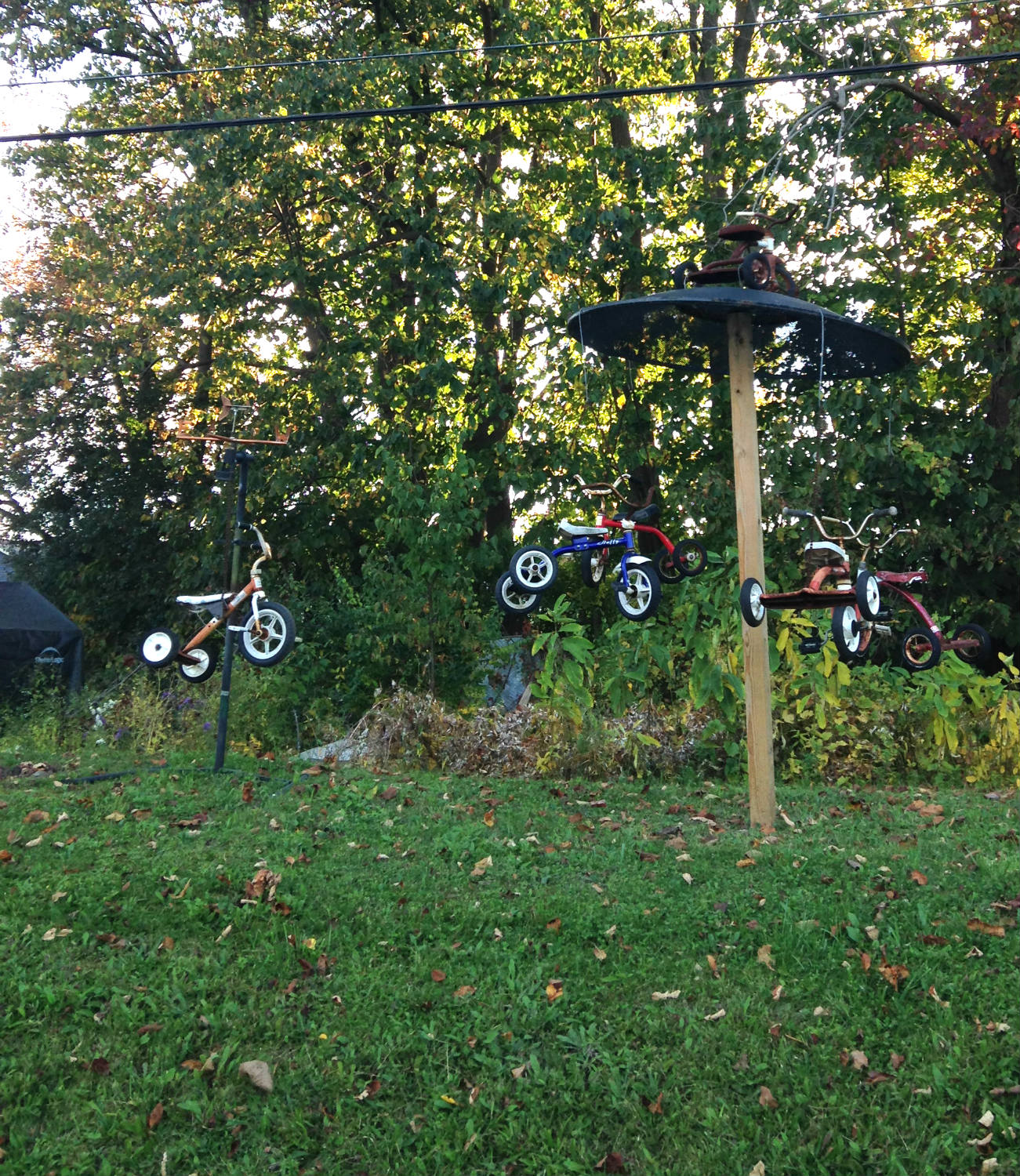 Bicycle Art and Yard Sculptures - Palmyra, NY Tricycle Carousel