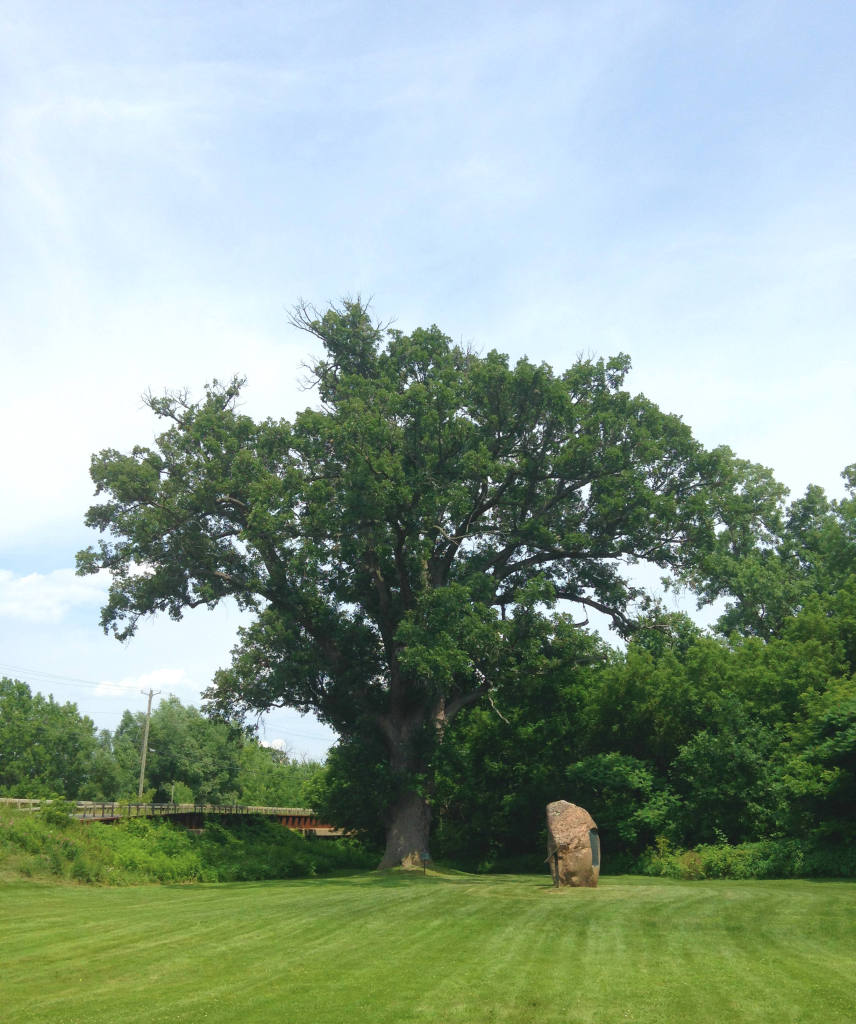 The Torture Tree and Grave Marker of Boyd and Parker in Cuylerville, NY