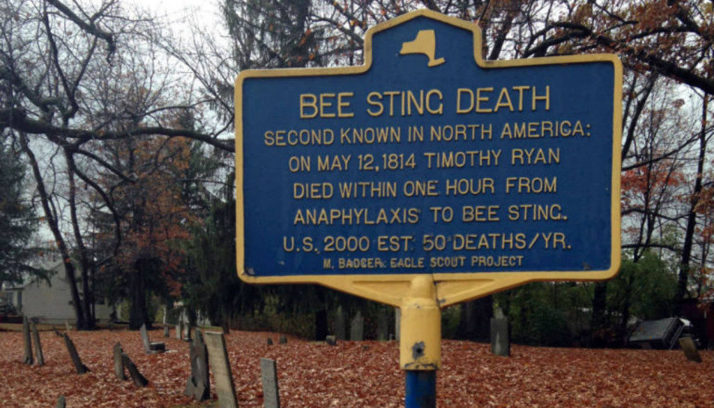 Bee Sting Death in Hopewell, NY - Featured Image