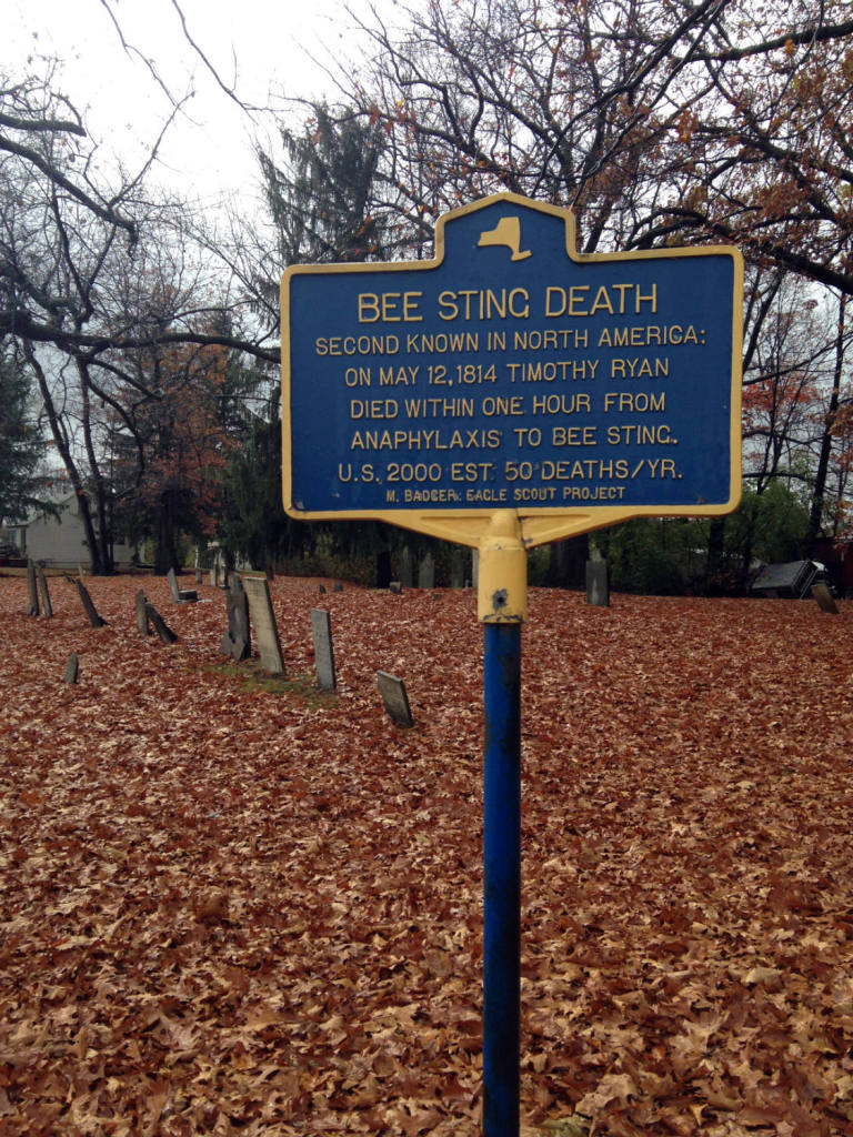 Historical Landmark Sign for Second Known Bee Sting Death near Canandaigua, NY
