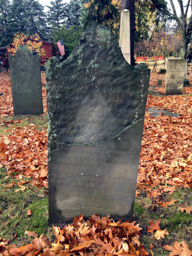 Headstone for Timothy (Hyne) Ryan, 2nd Known Bee Sting Death in U.S.