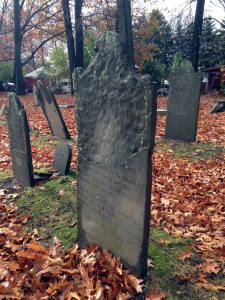 Grave of Timothy Ryan, 2nd known bee sting death, near Canandaigua, NY