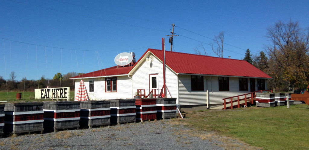 FLX Wienery on Route 14 in Dundee, NY