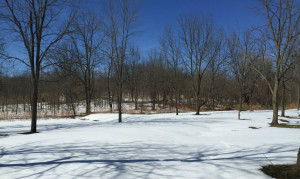 The berm where Mr Drummond is buried in Hydesville