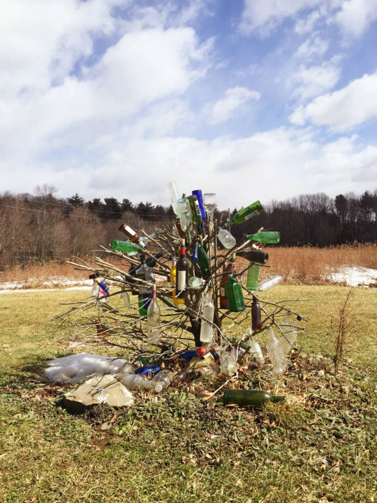 Bottle Tree outside of Letchworth State Park