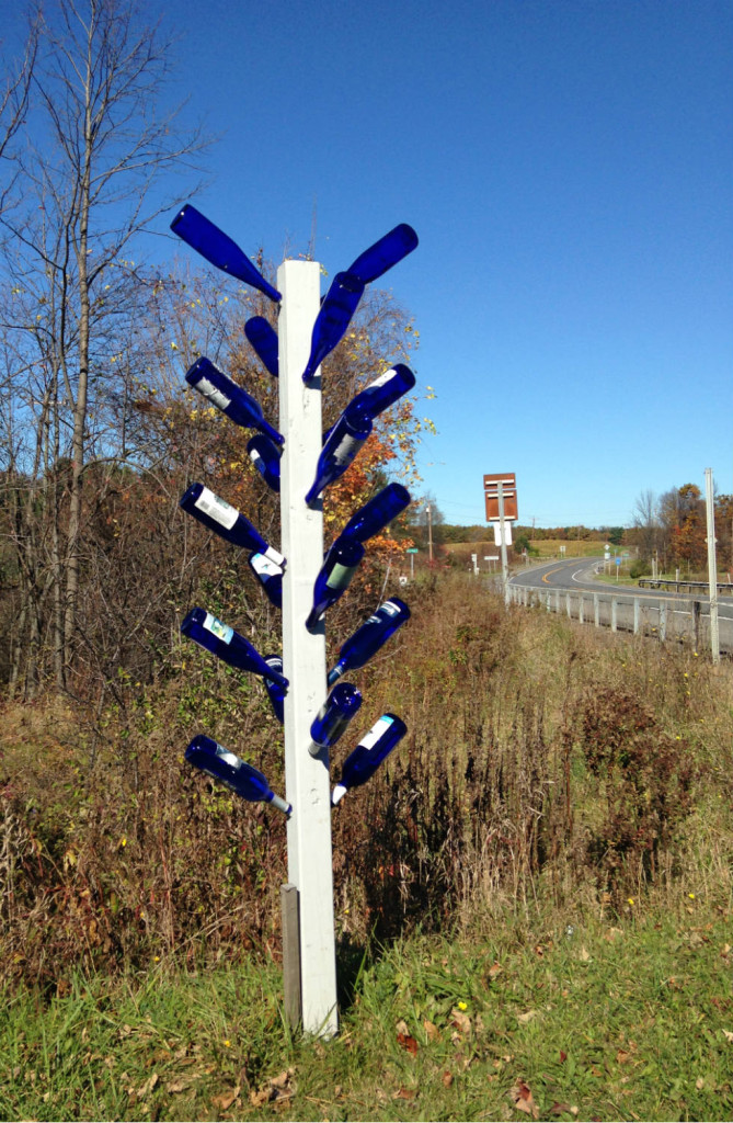 Blue Bottle and White Tree on Rt. 14