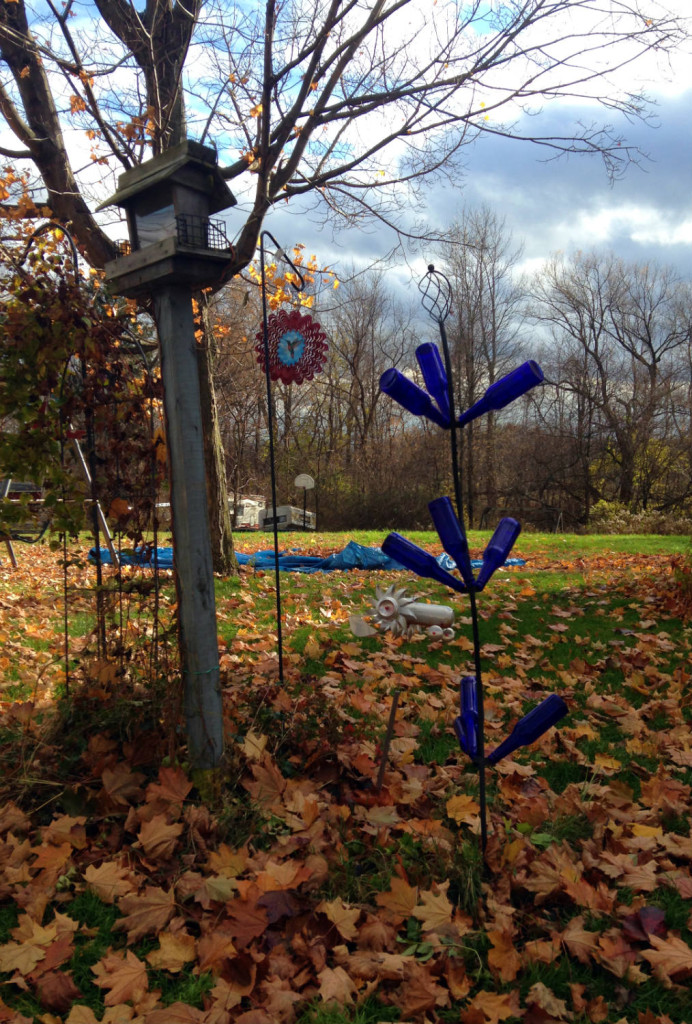 Blue Bottle Tree on Route 104 near Albion, NY