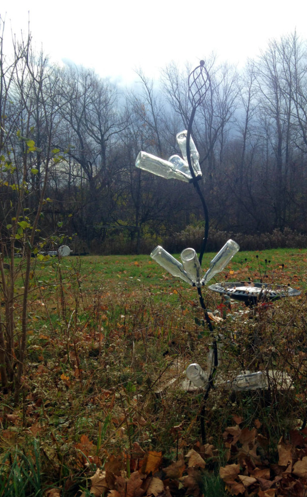 Clear Bottle Tree on Route 104 near Albion, NY