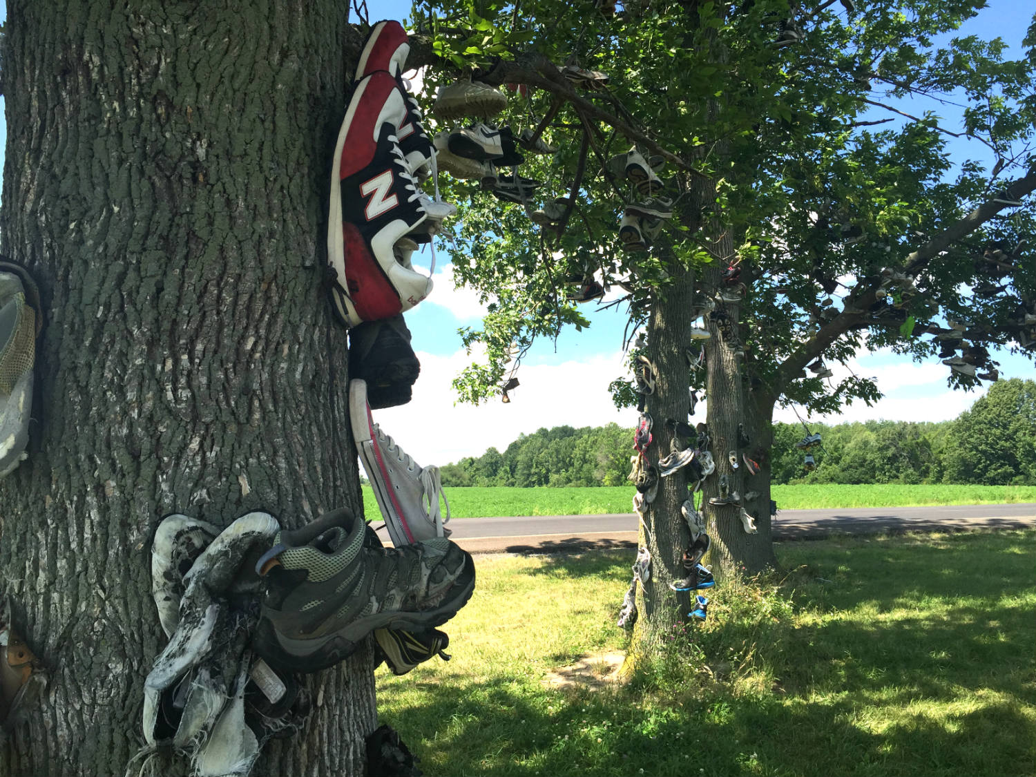 Shoes on a Tree Trunk in Lyndonville, New York
