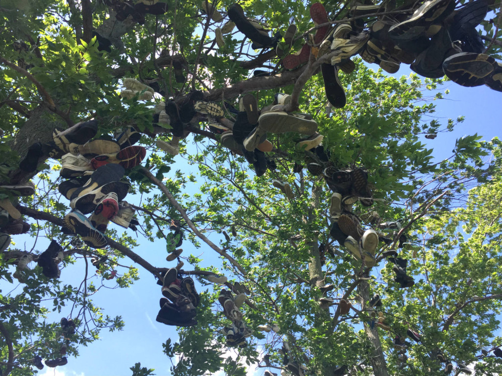 Branches with Shoes in Lyndonville, New York