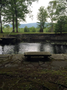 Pond and Overlook Mountain in Opus 40 in Saugerties