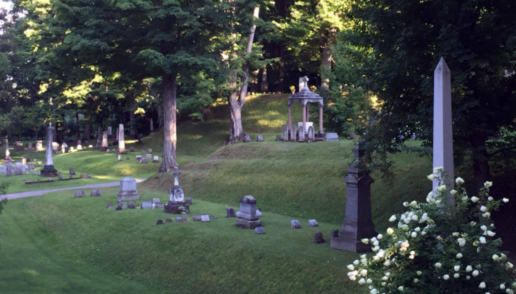 Mt. Albion Cemetery in Albion, NY - Featured Image