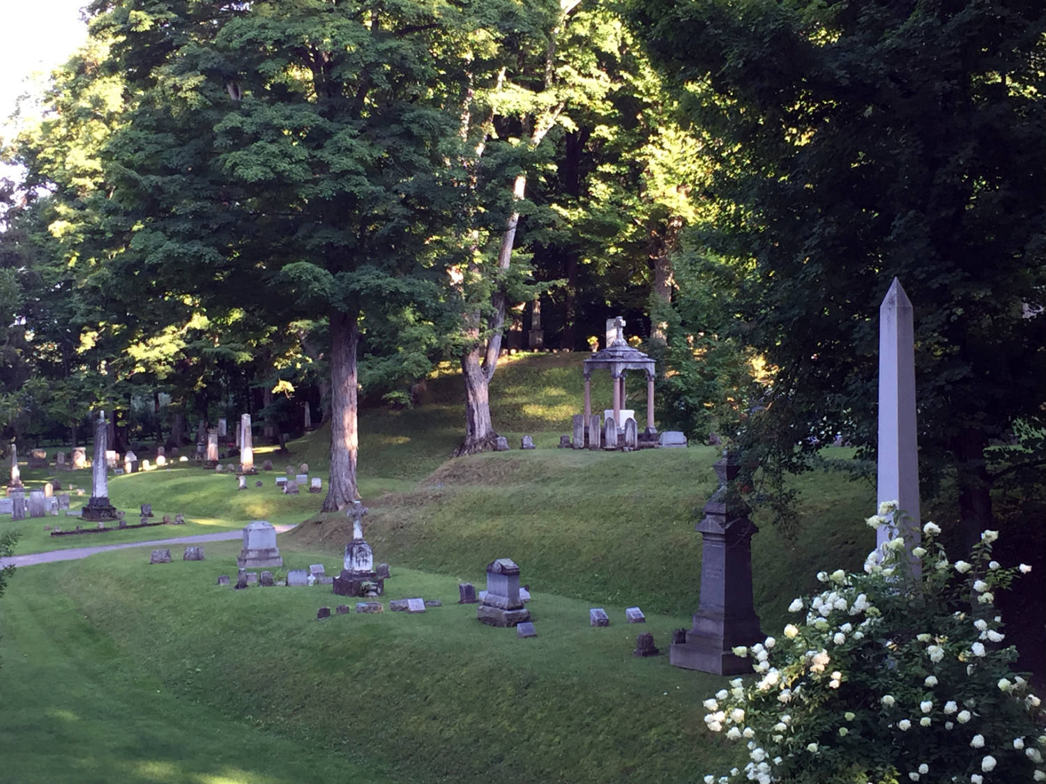Mt. Albion Cemetery in Orleans County