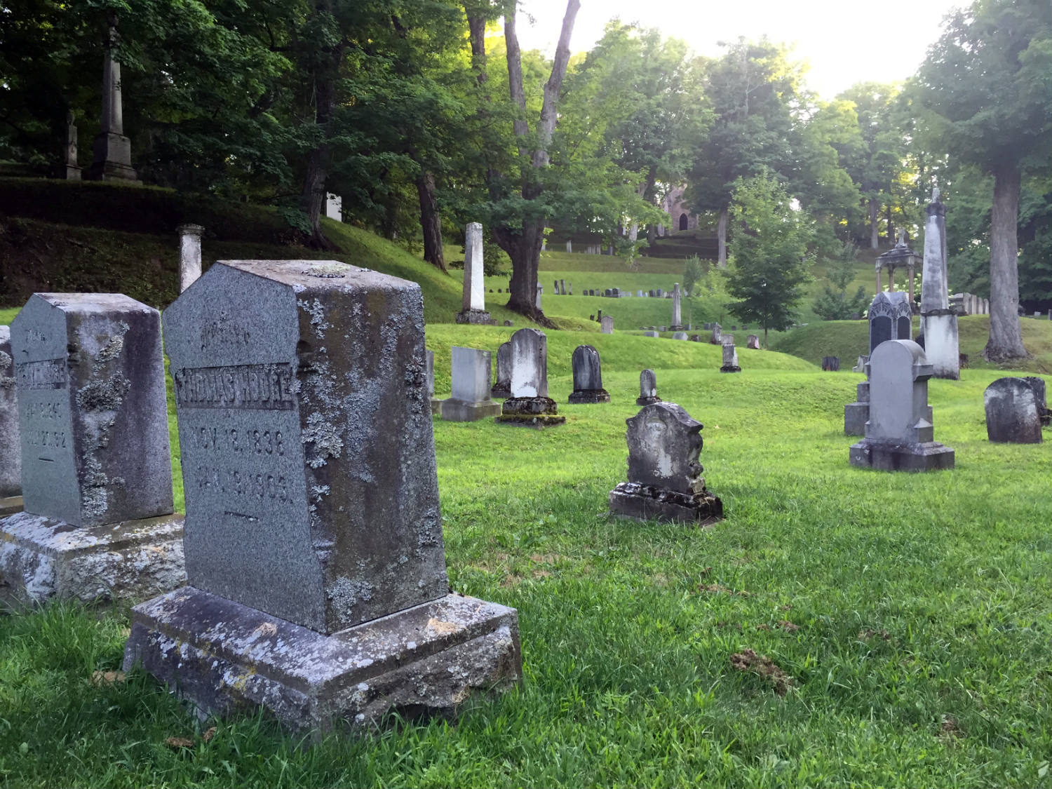 Mt. Albion Cemetery Graves