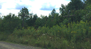 Wooden Crosses in Wayland, NY at Ashley Cemetery