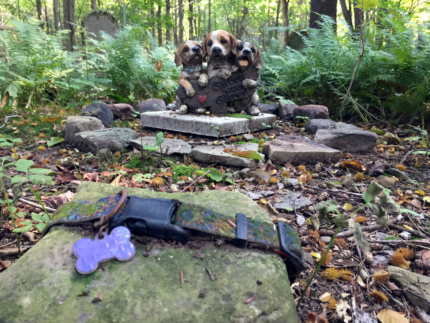 Pet Cemetery in Lily Dale