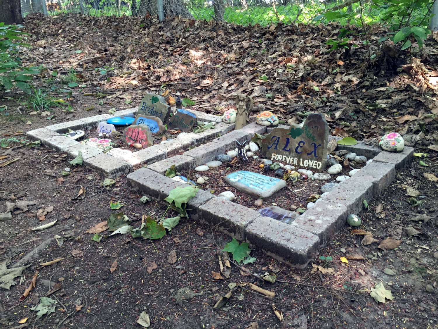Pet Cemetery in Lily Dale