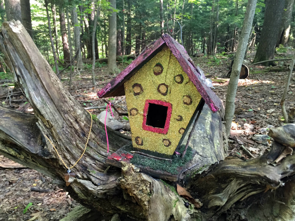 Fairy Village Trail in Lily Dale