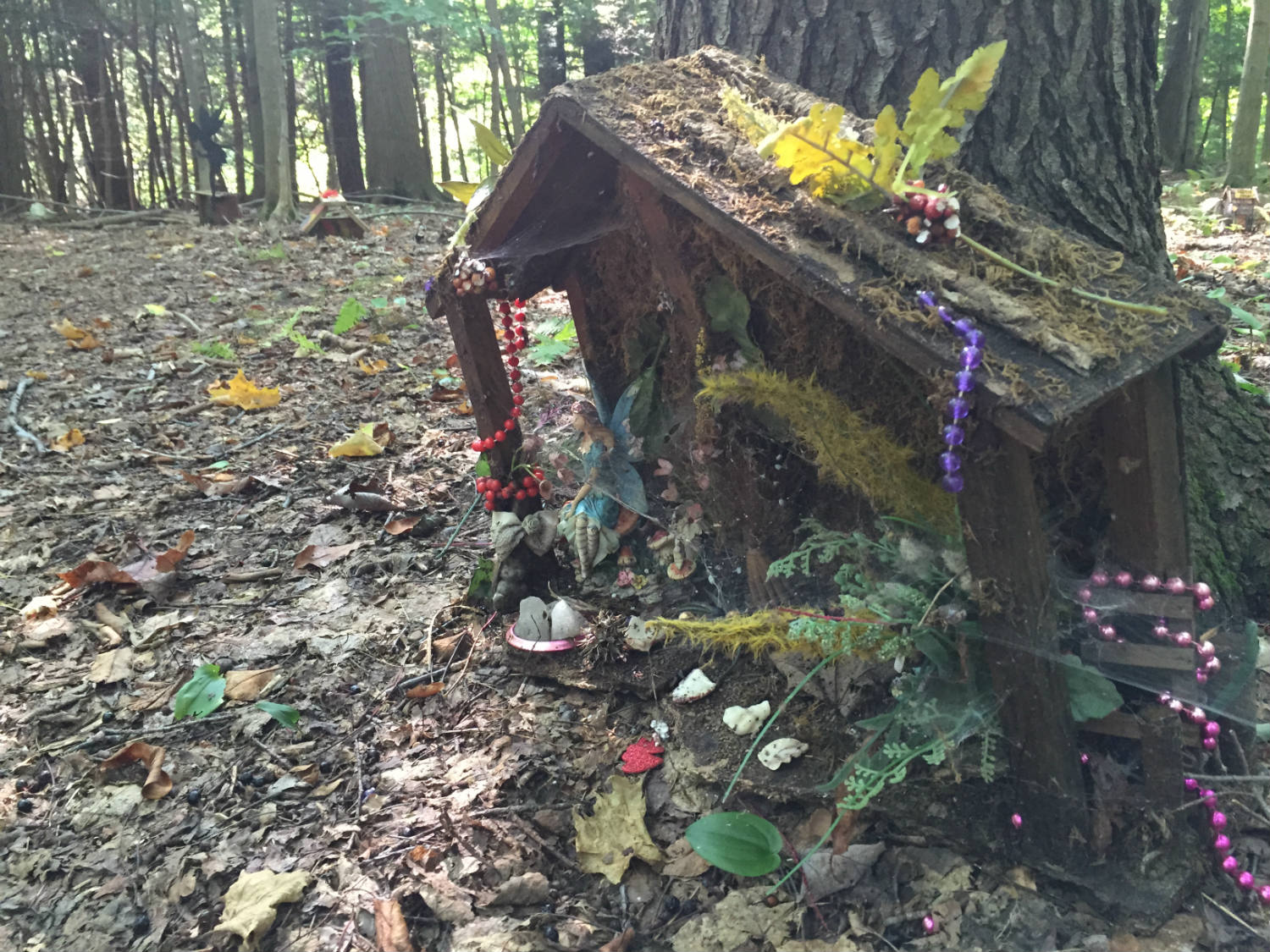 Fairy Village Trail in Lily Dale