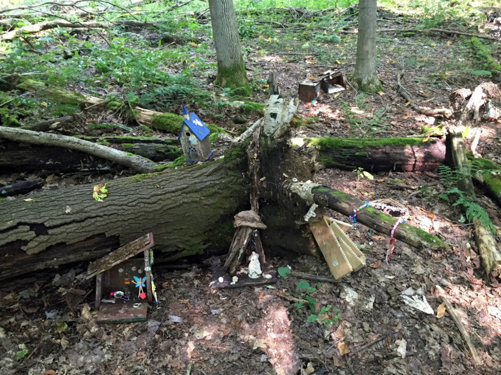 Fairy Village Trail in Lily Dale