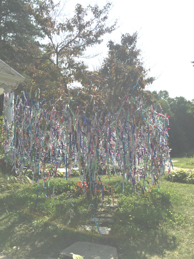 Prayer Tree in Lily Dale
