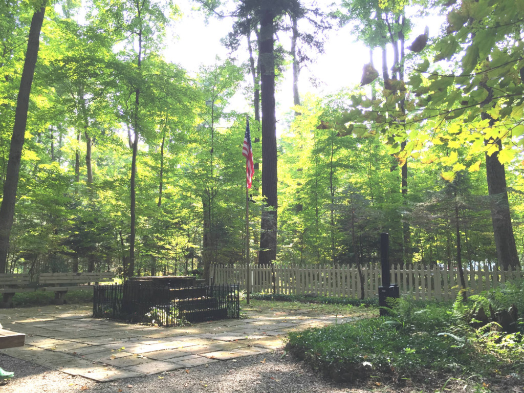 Inspiration Stump at Lily Dale Assembly