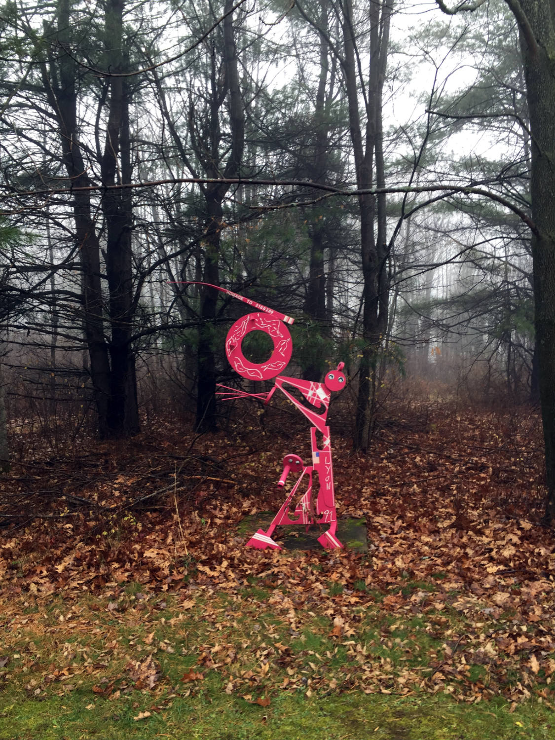 The C Lyon Sculpture Park in Horseheads, New York