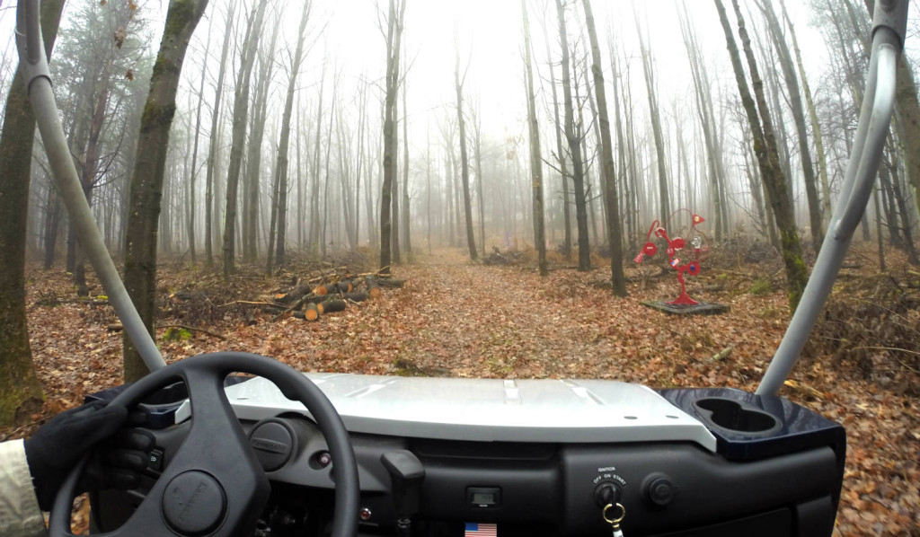 The C Lyon Sculpture Park in Horseheads, New York ATV with Path and Sculpture