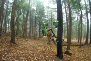 The C Lyon Sculpture Park in Horseheads, New York Bottle Tree