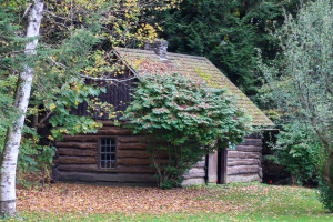 Fillmore Glen State Park