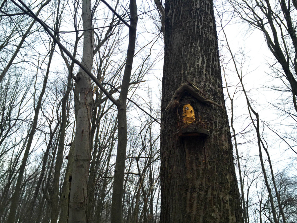 Fairy Village House at Tinker Nature Park in Henrietta, New York