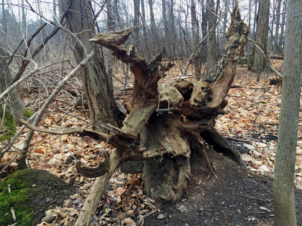 Fairy Village House at Tinker Nature Park in Henrietta, New York