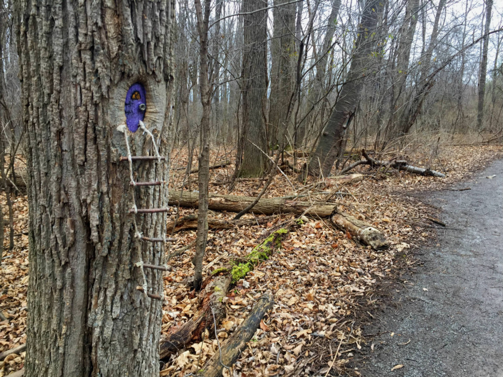 Fairy Village House at Tinker Nature Park in Henrietta, New York