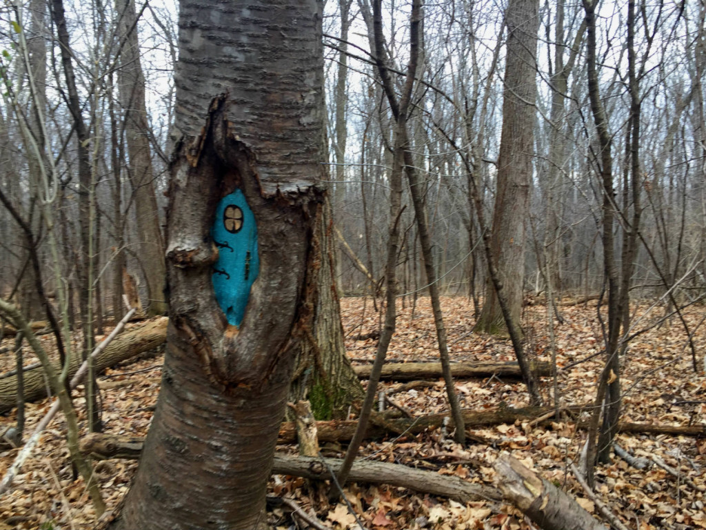 Fairy Village House at Tinker Nature Park in Henrietta, New York