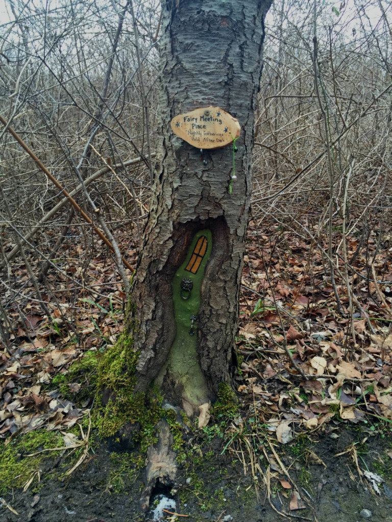 Fairy Village House at Tinker Nature Park in Henrietta, New York