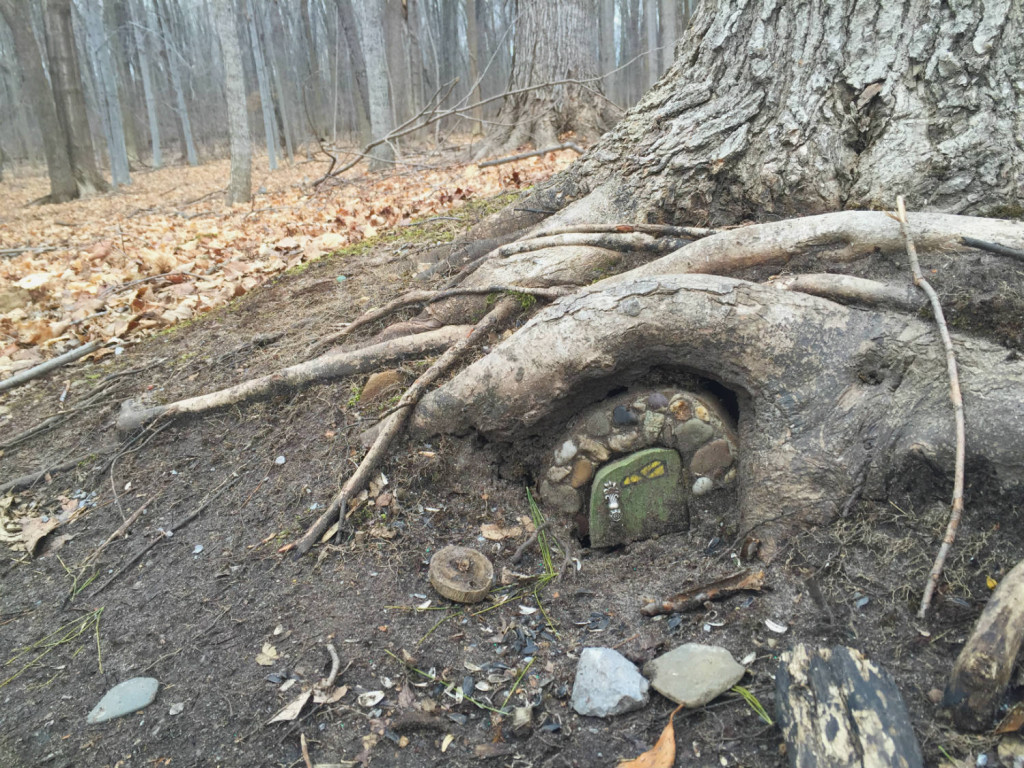 Fairy House in Tinker Nature Park in Henrietta, New York