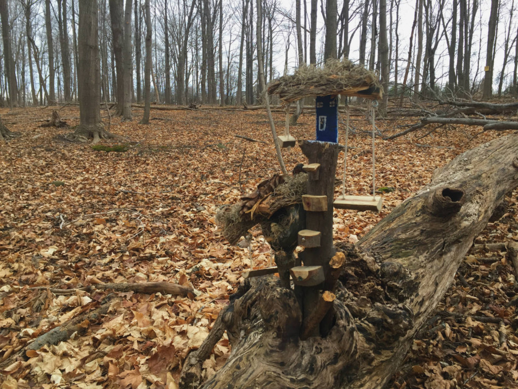 Fairy House in Tinker Nature Park in Henrietta, New York