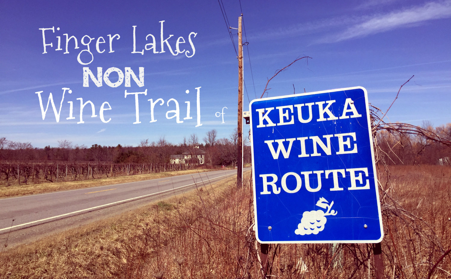 Cayuga Lake Wine Trail Map Guide Finger Lakes New York Wineries 