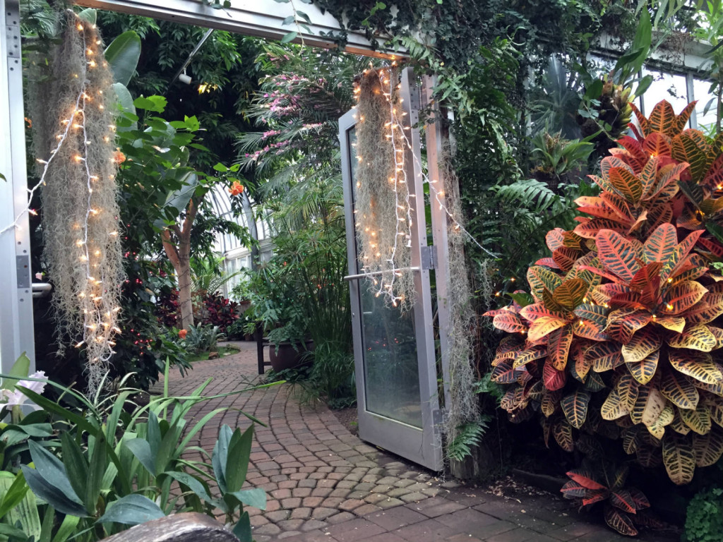 Inside the Lamberton Conservatory in Rochester, New York