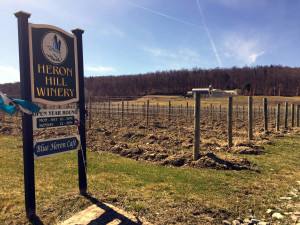 Heron Hill Winery in Hammondsport, New York