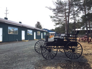 Buggy at the Windmill Farm and Craft Market in Penn Yan, New York