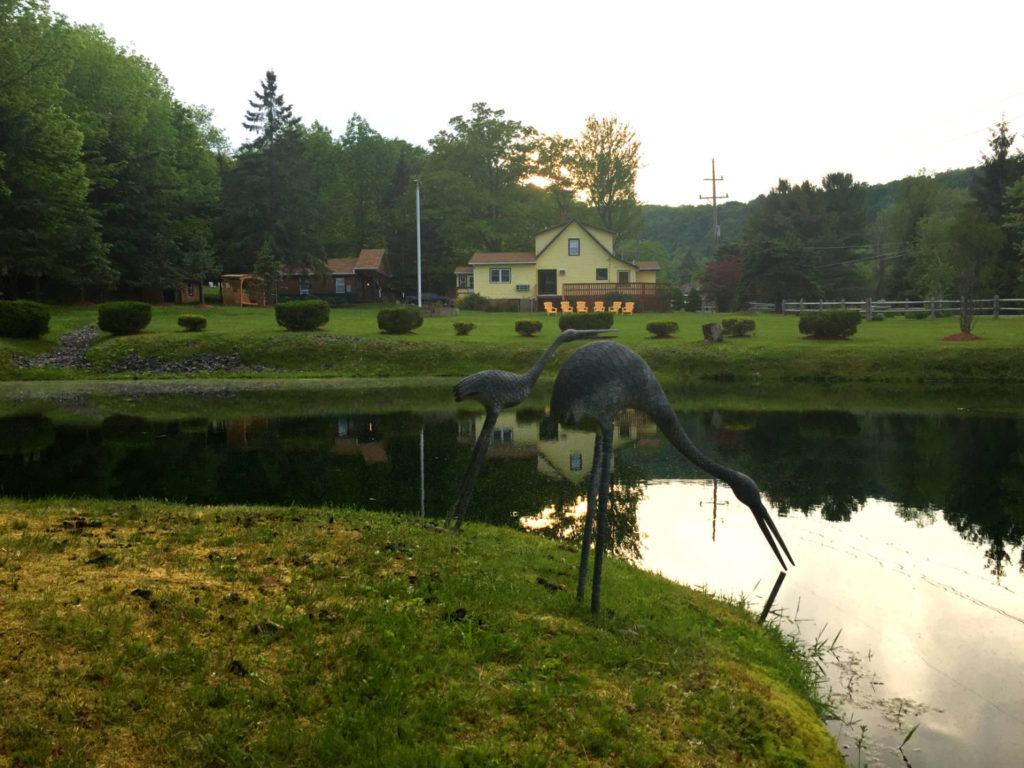 Pond and Cabins at Lazy Pond Bed and Breakfast in Sullivan County