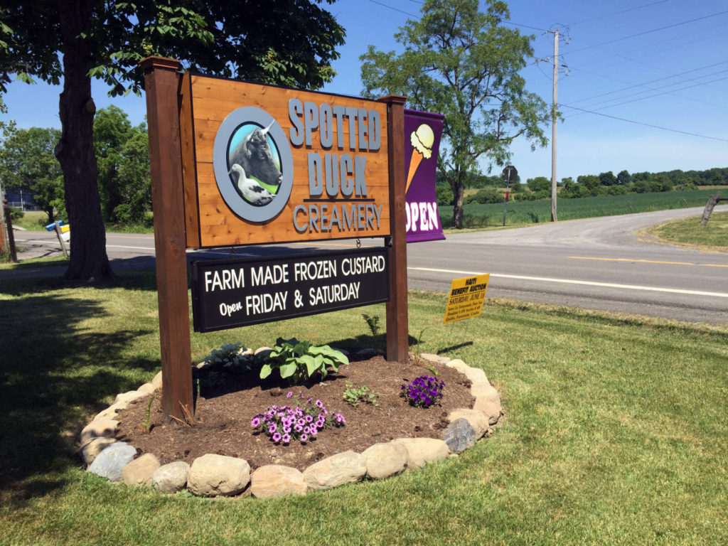 Sign at Spotted Duck Creamery in Penn Yan, New York