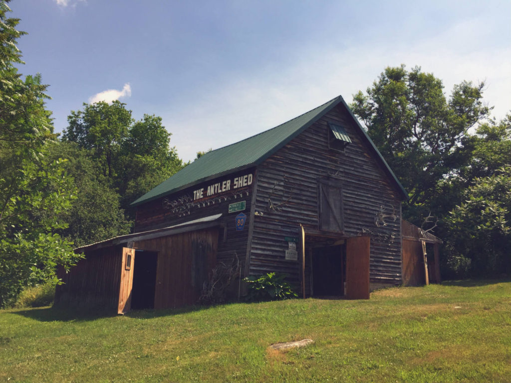 The Antler Shed - White Tail Museum and Taxidermy in West Valley, New York