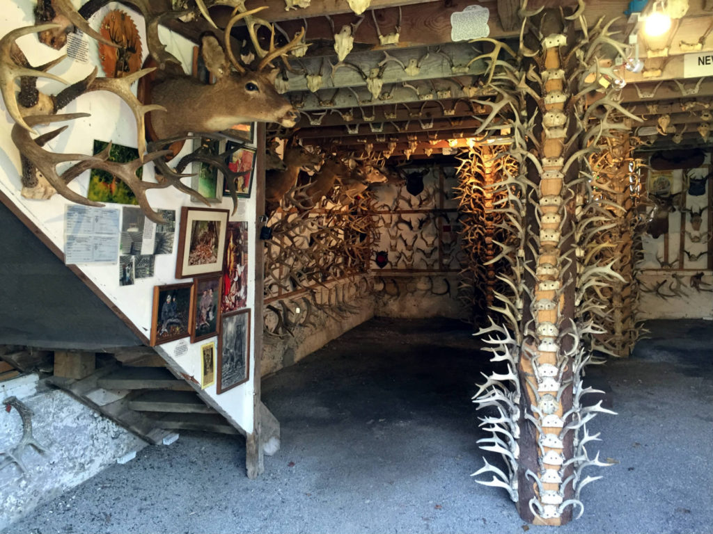 Antler Shed and Whitetail Museum in West Valley, New York