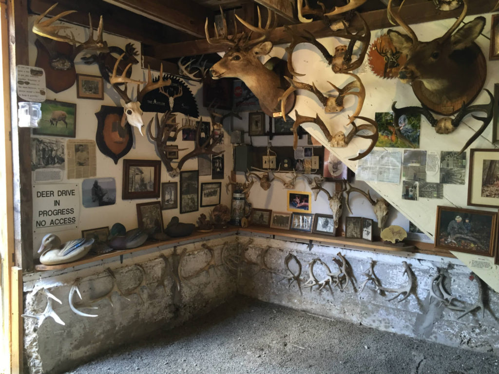 Antler Shed and Whitetail Museum in West Valley, New York
