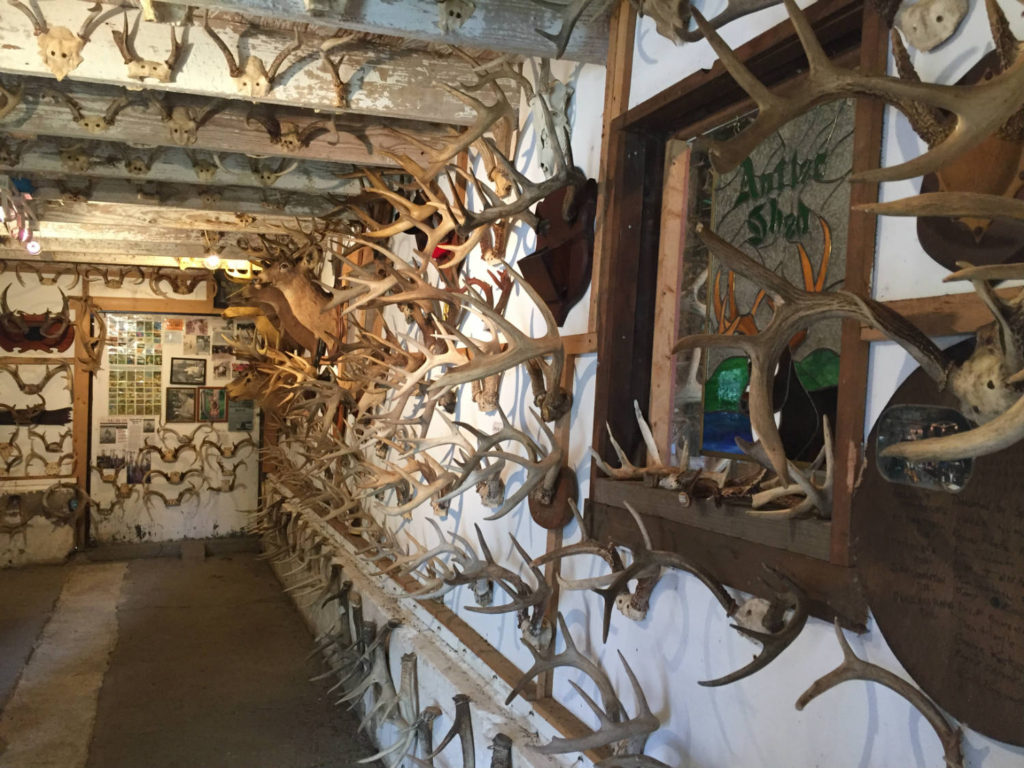 Antler Exhibit in Cattaraugus County