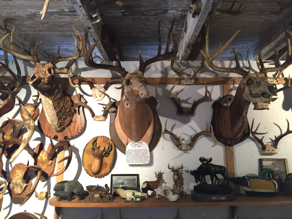 Exhibit at the Antler Shed in West Valley, NY