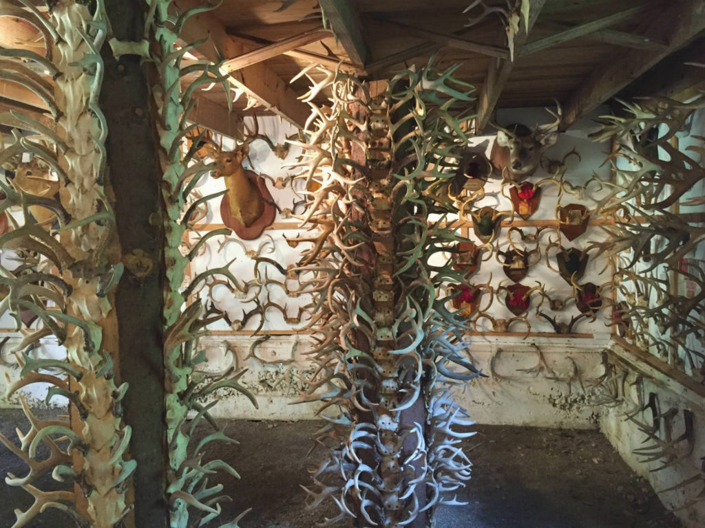 Columns of Antlers in Cattaraugus County